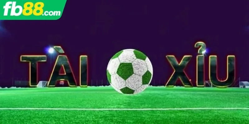 cách cá độ bóng đá tài xỉu
