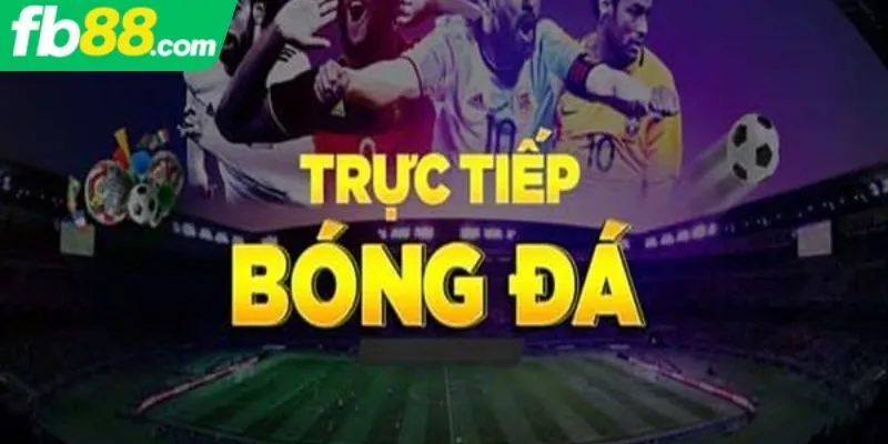 Những lưu ý quan trọng khi tìm link trực tiếp bóng đá