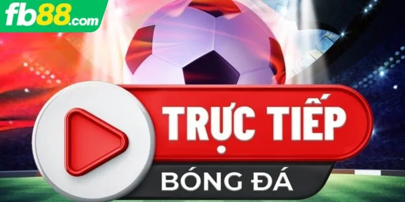 Tầm quan trọng của link trực tiếp bóng đá chất lượng