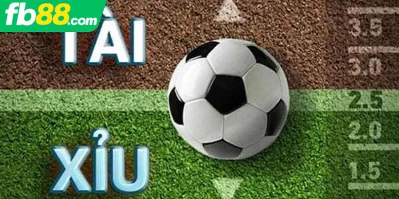 Thông tin chung về cách cá độ bóng đá tài xỉu
