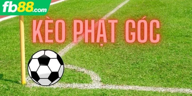 Tổng quan về kèo phạt góc